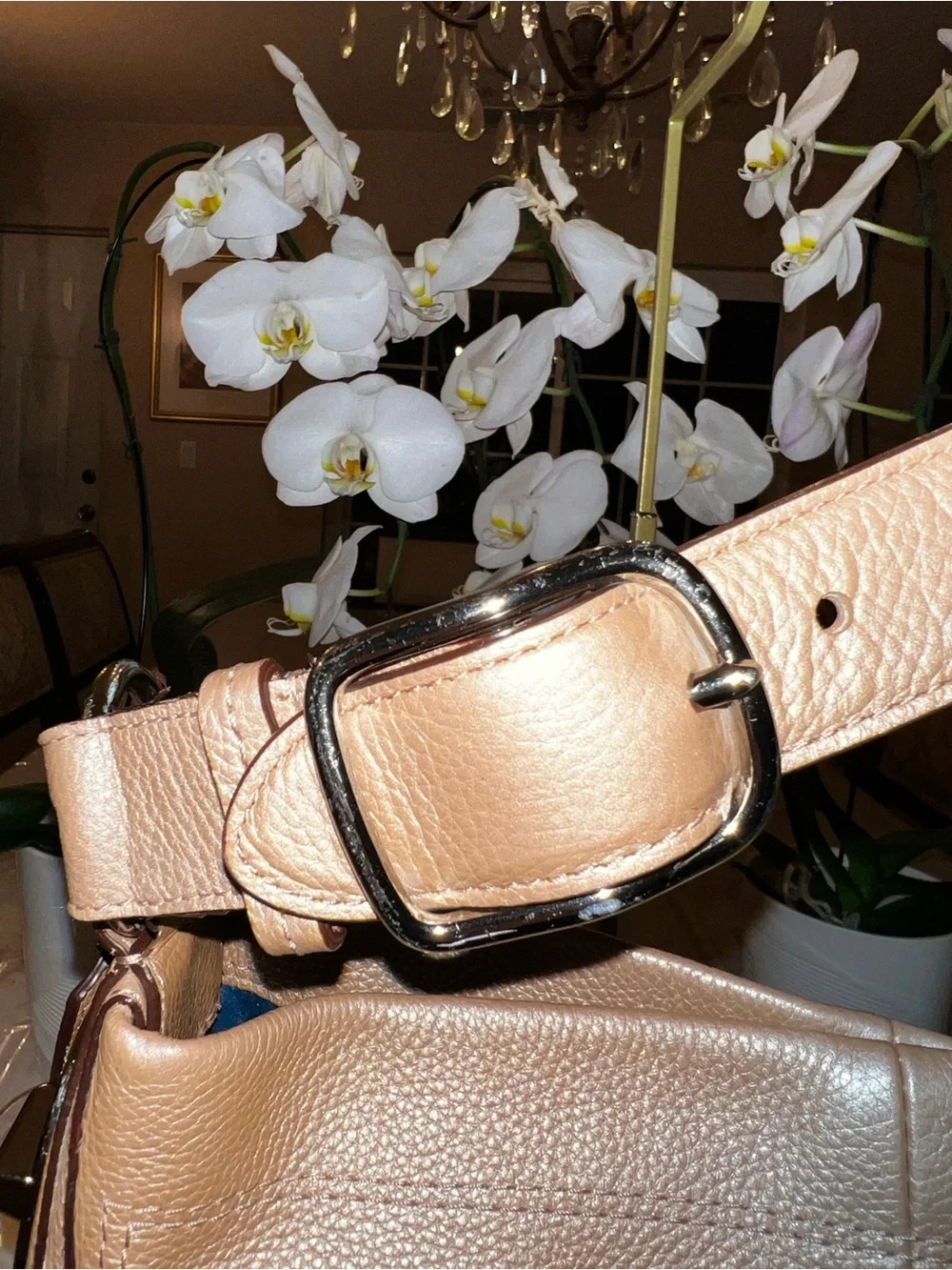 Coach Penelope Pebbled Leather Hobo Shoulder Bag | Metallic Bronze Leather | Lar